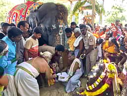 சங்கரன்கோவிலில் சித்திரைத் திருவிழா இன்று கொடியேற்றம்: பிடிமண் எடுத்த யானை