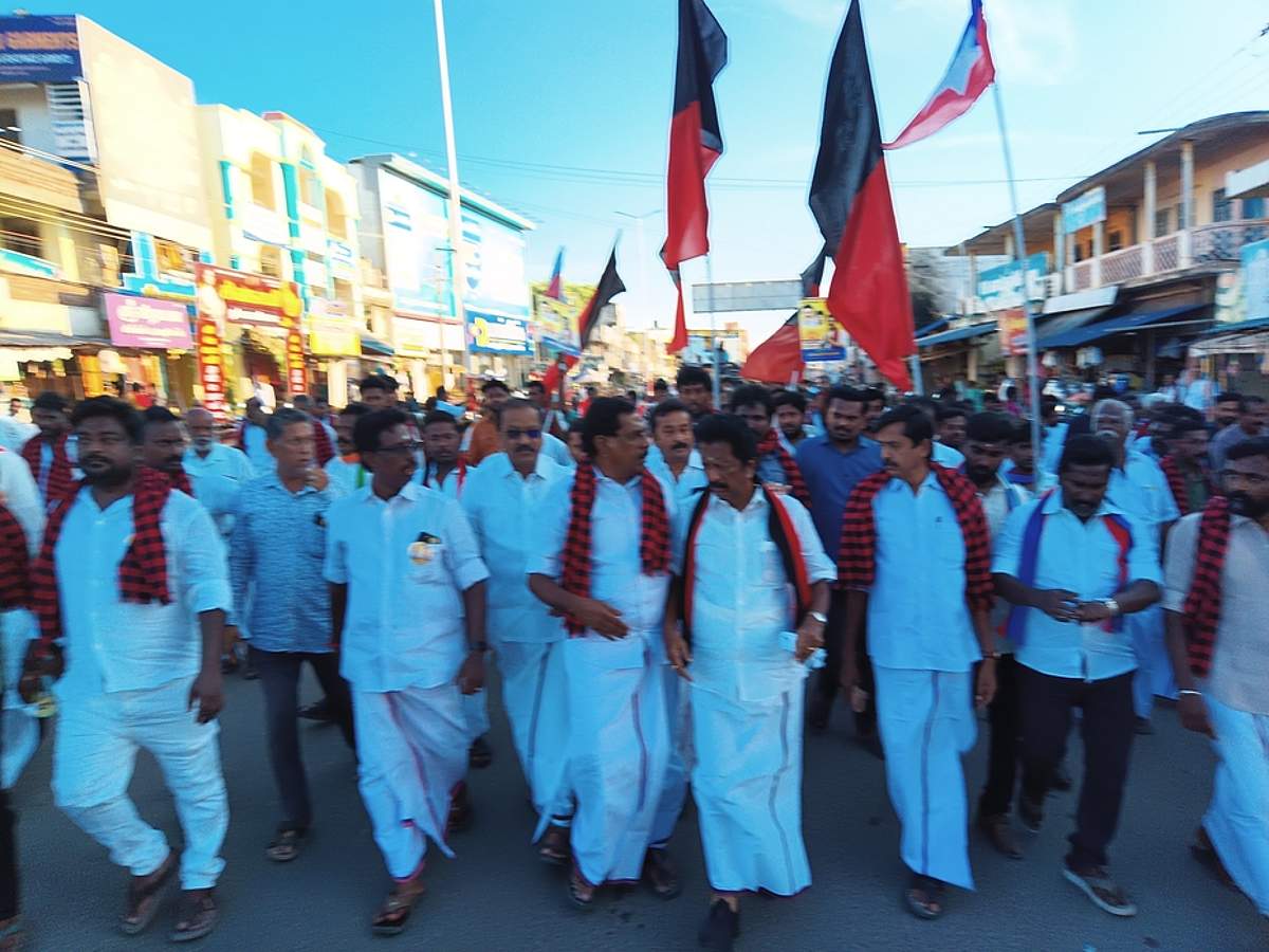 பேராவூரணி கடைவீதி பகுதிகளில் திமுக வேட்பாளா் வாக்கு சேகரிப்பு