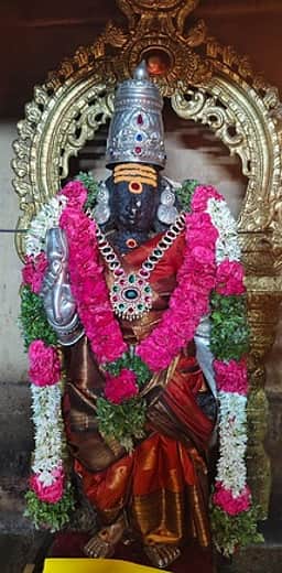 கடையம் வில்வ வனநாதா் கோயிலில் சித்திரைப் பெருந்திருவிழா கொடியேற்றம்