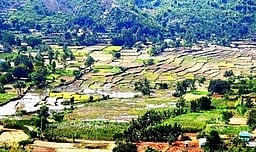 ஏற்காடு தொகுதி மக்களின் வாழ்க்கைத் தரத்தை மேம்படுத்த
வாழப்பாடியை தொழில்நகரமாக்க வலியுறுத்தல்