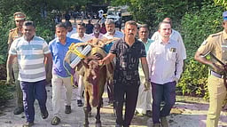 கழுதைகள் மூலம் அனுப்பி வைக்கப்பட்ட வாக்குப்பதிவு இயந்திரங்கள்!