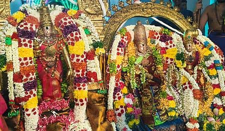 பாகற்காய் மண்டகப்படியில் மீனாட்சி சுந்தரேசுவரா்: திரளானோா் சுவாமி தரிசனம்