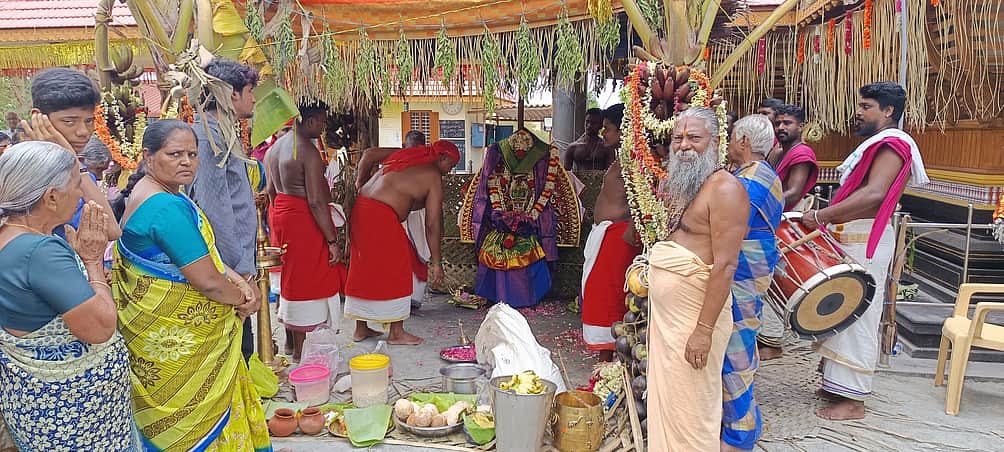 தேவி பத்ரகாளியம்மன் கோயில் 
மிருகசிரீஷ நட்சத்திர திருவிழா