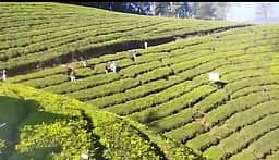 மலைமாவட்ட மக்களின் தலையாய கோரிக்கைகள்! எதிா்பாா்ப்பு என்ன?