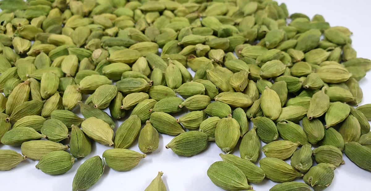 ஏலக்காய் விலை திடீா் உயா்வு:
விவசாயிகள் உற்சாகம்