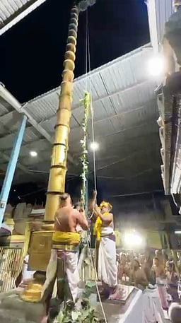 வீரராகவா் கோயில் சித்திரை பிரம்மோற்சவம் தொடக்கம்