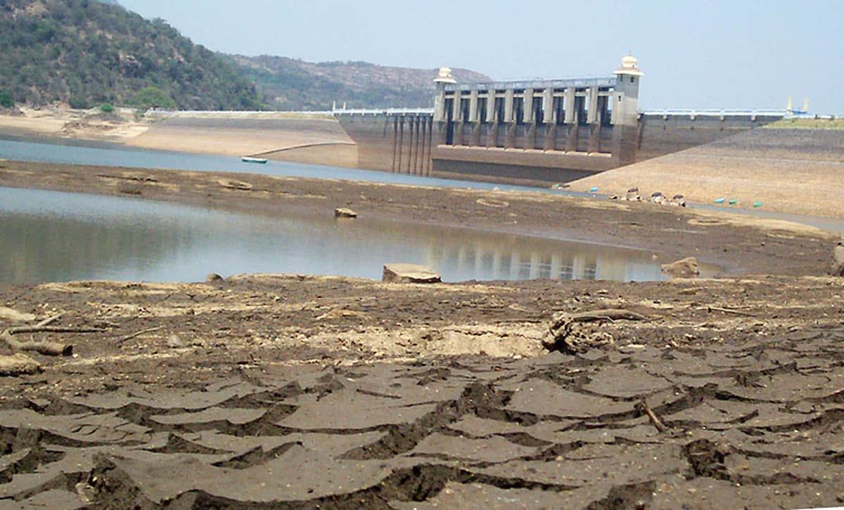 வறட்சியின் பிடியில் சிக்கித் தவிக்கும் அமராவதி அணை: கோடையை தாக்குப்பிடிக்குமா கரையோர கிராமங்கள்?