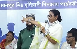 மசாலா பொரியும் மீனும் பாஜக - திரிணமூல் பிரசாரத்தின் அங்கம்: மமதா பானர்ஜி