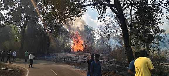 மசினகுடி வனப் பகுதியில் காட்டுத் தீ!