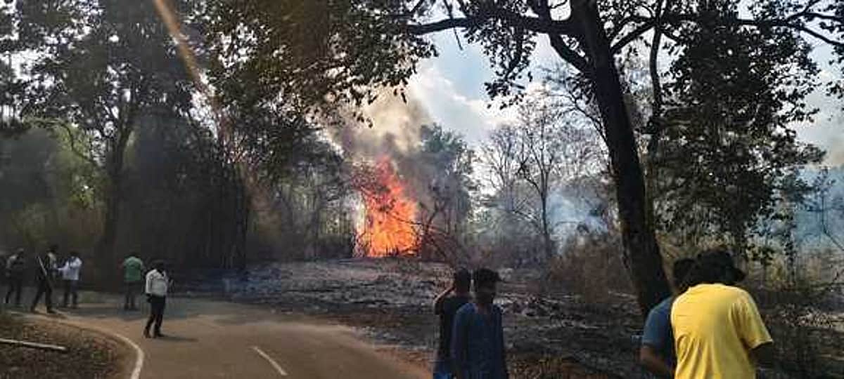 மசினகுடி வனப் பகுதியில் காட்டுத் தீ!