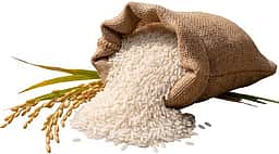 2025-26 நிதியாண்டில் அரிசி ஏற்றுமதி 7.5% சரிவு