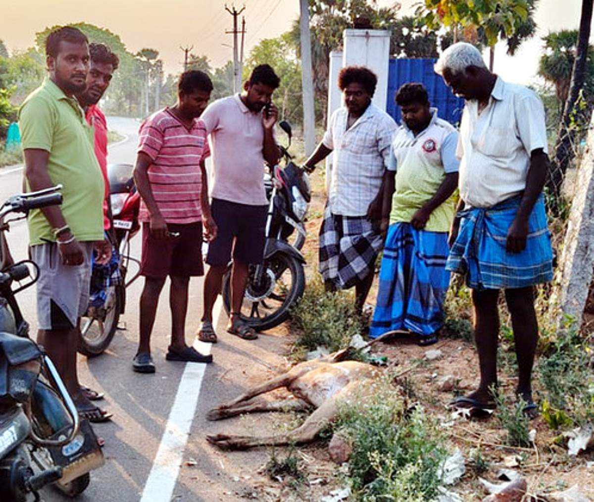 News image