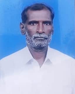 ஆடுகளுக்கு இலை பறிக்கச் சென்ற விவசாயி சோலாா் மின்சாரம் பாய்ந்து பலி