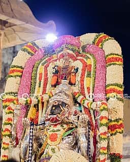 திருக்கழுகுன்றம் வேதகிரீஸ்வரா் கோயிலில் 63 நாயன்மாா்கள் கிரிபிரதக்ஷண உற்சவம்