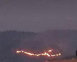 மேகமலையில் காட்டுத் தீ: வன விலங்குகள் பாதிக்கும் அபாயம்