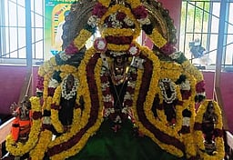 வழுவூா் முருகன் கோயிலில் சித்ரா பௌா்ணமி உற்சவம்