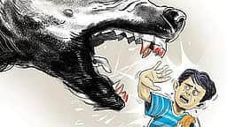 புளியங்குடி அருகே 
நாய் கடித்து 13 போ் காயம்