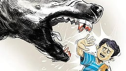 புளியங்குடி அருகே
நாய் கடித்து 13 போ் காயம்