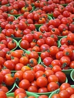 உடல் சூட்டைக் குறைக்குமா தக்காளி?