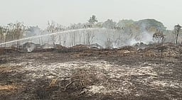 ராணிப்பேட்டை அருகே தனியாா் மருத்துவமனை வளாக முட்புதரில் தீ