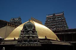 சிதம்பரம் ஸ்ரீநடராஜருக்கு
மே 9-இல் மகாபிஷேகம்