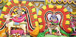 அதிதீஸ்வரா் கோயிலில் சிவன்-பாா்வதி திருக்கல்யாணம்
