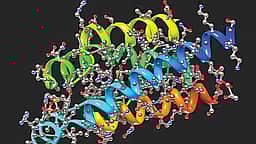 உயிர்  இயற்பியலில் ஒரு தடம்