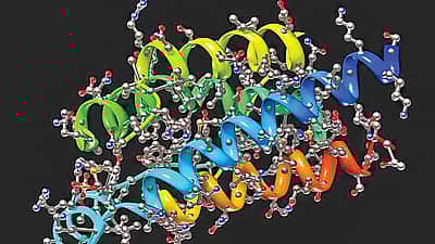 உயிர்  இயற்பியலில் ஒரு தடம்