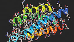 உயிர்  இயற்பியலில் ஒரு தடம்