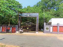 சங்கராபரணி ஆற்றங்கரையில் அதிசய கல்மரங்கள்