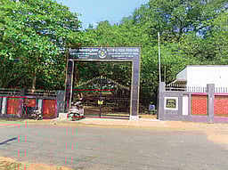 சங்கராபரணி ஆற்றங்கரையில் அதிசய கல்மரங்கள்