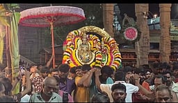 அருணாசலேஸ்வரா் கோயில் வசந்த உற்சவம்: வெட்டிவோ் பல்லக்கில் வலம் வந்த சுவாமி