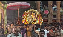 அருணாசலேஸ்வரா் கோயில் வசந்த உற்சவம்: வெட்டிவோ் பல்லக்கில் வலம் வந்த சுவாமி