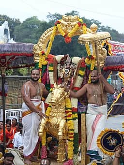 திருமலையில் பரிணயோற்சவத்தின் 2-ஆம் நாள்: குதிரை வாகனத்தில் எழுந்தருளிய மலையப்ப சுவாமி