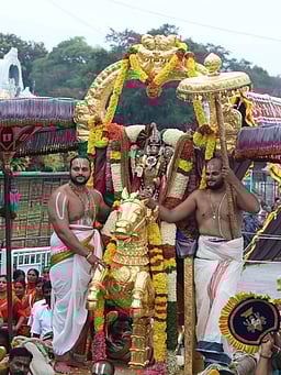 திருமலையில் பரிணயோற்சவத்தின் 2-ஆம் நாள்: குதிரை வாகனத்தில் எழுந்தருளிய மலையப்ப சுவாமி