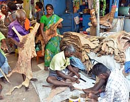 சித்திரைத் திருவிழா: கள்ளழகரை வரவேற்கத் தயாராகும் பக்தா்கள்