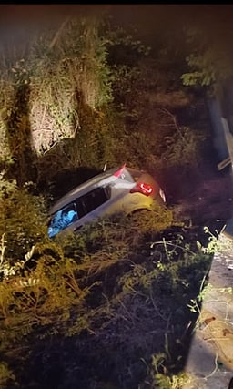 வால்பாறை மலைப் பாதையில்
சாலையோர பள்ளத்தில் காா் இறங்கியதில் இருவா் காயம்