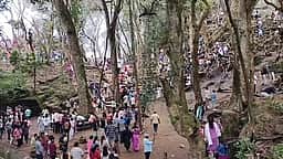 கொடைக்கானலுக்கு சுற்றுலாப் பயணிகள் வருகை அதிகரிப்பு: போக்குவரத்து நெரிசல்