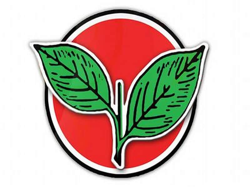 irattai elai