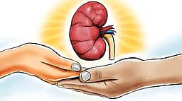 சாலை விபத்தில் மூளைச்சாவு 
அடைந்தவரின் கல்லீரல் தானம்