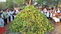 கோபி அருகே சுள்ளிக்கரடு முனியப்பச் சுவாமி கோயிலில் சித்திரை திருவிழா! ஆயிரக்கணக்கான கிடாய்கள் வெட்டி நோ்த்திகடன்!