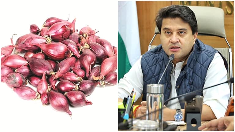 வெங்காயம் சூட்டைத் தணிக்குமா? சொல்கிறார் பாஜக அமைச்சர்