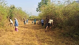 மனித செயல்பாடுகளால் காட்டுக்குள் அதிக தீ விபத்துகள்