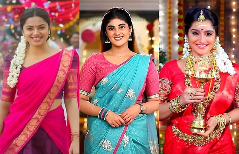 aadukalam punitha manamagale va serial has end soon