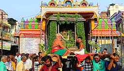 சங்கரநாராயண சுவாமி கோயிலில் பச்சை சாத்தி வீதியுலா