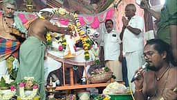 சாயல்குடி மீனாம்பிகை, கைலாசநாதா் கோயிலில் திருக்கல்யாணம்