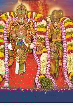 மீனாட்சியம்மன் - சுந்தரேசுவரர் திருக்கல்யாணம்!