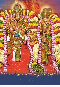 மதுரை மீனாட்சி - சுந்தரேசுவரர் திருக்கல்யாணம்!