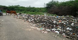 அரியலூரில் தேங்கிக் கிடக்கும்
குப்பைகளால் சுகாதார சீா்கேடு: நோய்த்தொற்று ஏற்படும் அச்சத்தில் மக்கள்