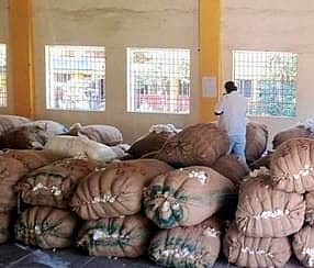 பஞ்சு இறக்குமதி வரி ரத்து செய்ய ஆடை உற்பத்தியாளா்கள் வலியுறுத்தல்